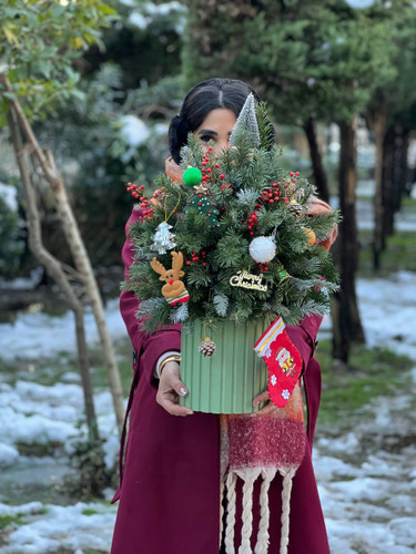 خرید باکس گل کریسمس گوزن - گل ساسان گلفروشی رشت