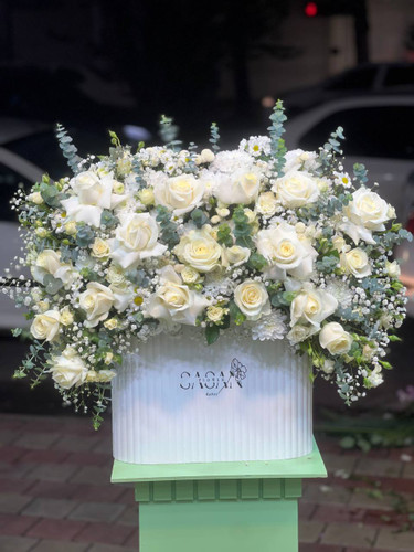 خرید باکس گل رافائل - گل ساسان گلفروشی رشت