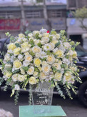 خرید باکس گل پلکسی said - گل ساسان گلفروشی رشت