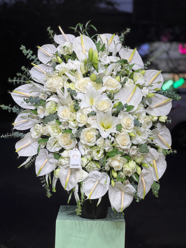 خرید باکس گل واندا - گل ساسان گلفروشی رشت